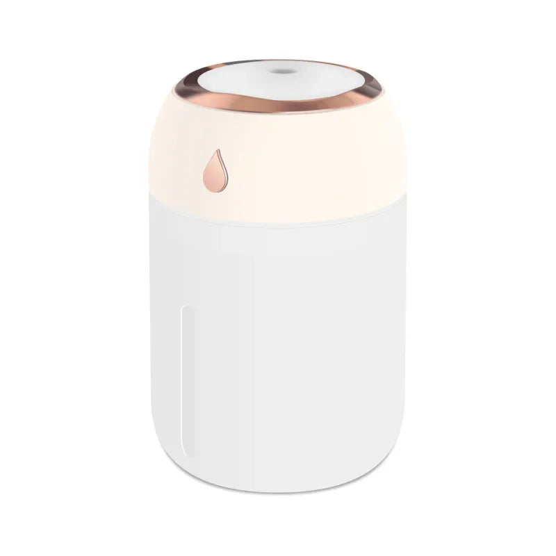Mini USB Portable Air Humidifier, Aroma Diffuser, LED Cool Light, Mist for Room, Home, Car, Plant Purifier, 330Ml
