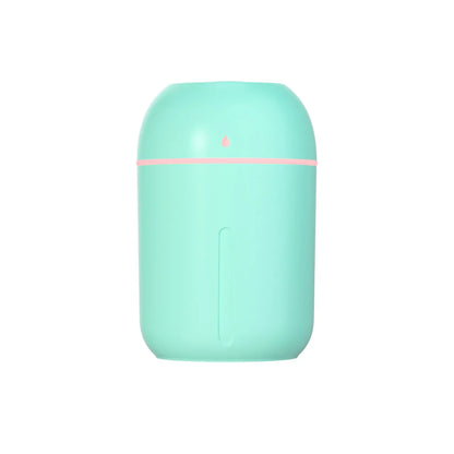 Mini USB Portable Air Humidifier, Aroma Diffuser, LED Cool Light, Mist for Room, Home, Car, Plant Purifier, 330Ml