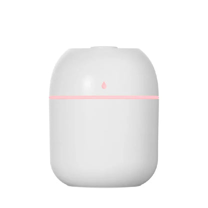Mini USB Portable Air Humidifier, Aroma Diffuser, LED Cool Light, Mist for Room, Home, Car, Plant Purifier, 330Ml