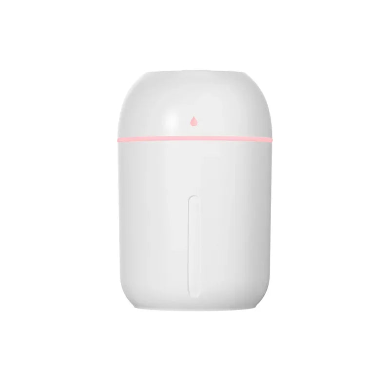 Mini USB Portable Air Humidifier, Aroma Diffuser, LED Cool Light, Mist for Room, Home, Car, Plant Purifier, 330Ml