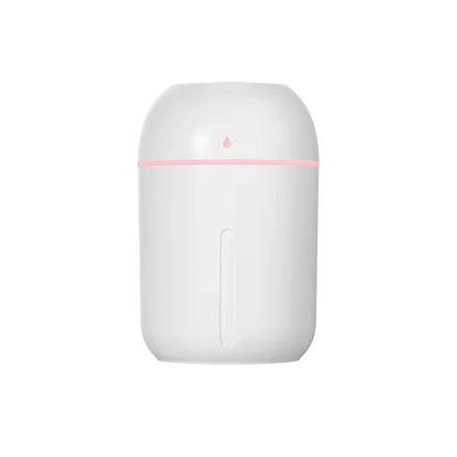 Mini USB Portable Air Humidifier, Aroma Diffuser, LED Cool Light, Mist for Room, Home, Car, Plant Purifier, 330Ml