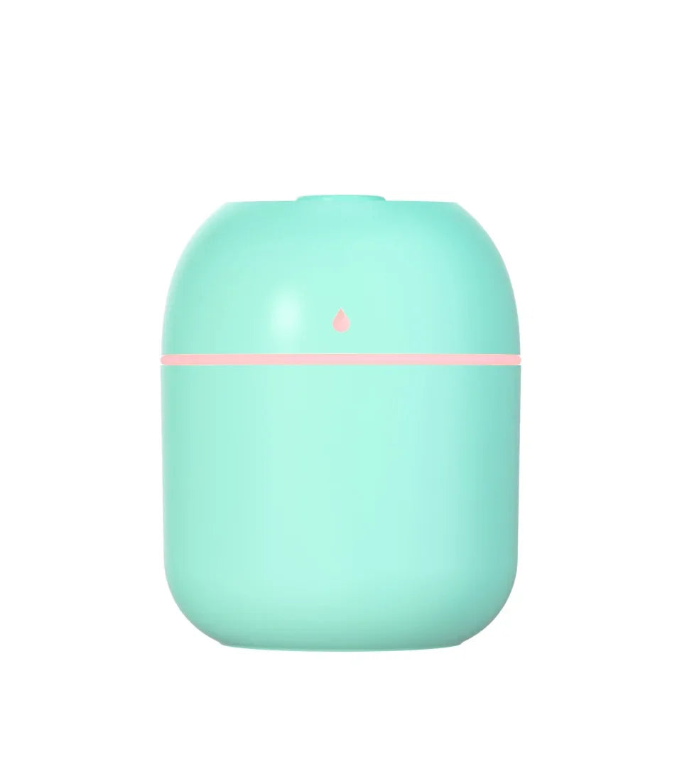 Mini USB Portable Air Humidifier, Aroma Diffuser, LED Cool Light, Mist for Room, Home, Car, Plant Purifier, 330Ml
