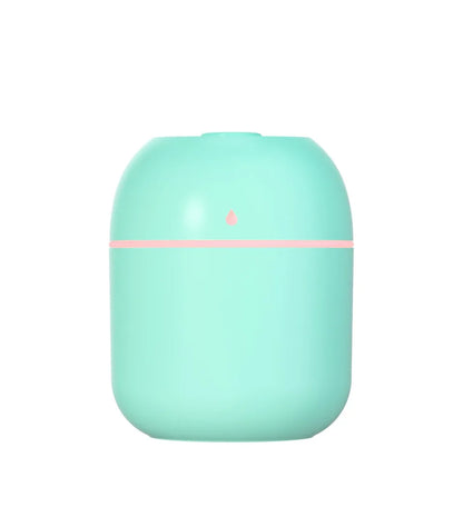 Mini USB Portable Air Humidifier, Aroma Diffuser, LED Cool Light, Mist for Room, Home, Car, Plant Purifier, 330Ml