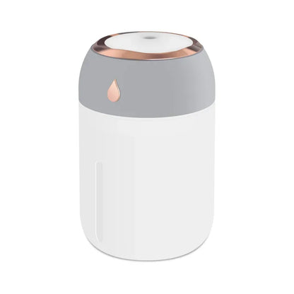 Mini USB Portable Air Humidifier, Aroma Diffuser, LED Cool Light, Mist for Room, Home, Car, Plant Purifier, 330Ml